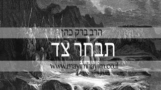 הרב ברק כהן - לבחור צד
