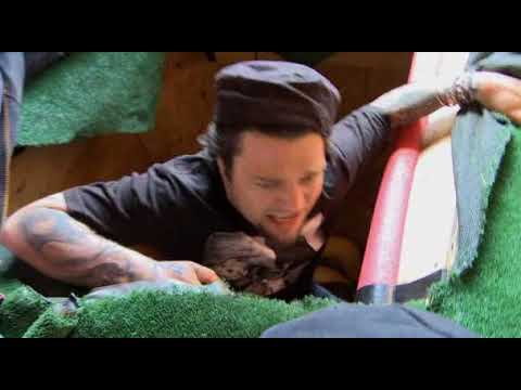 Jackass 3 - The Snake Pit