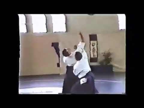 Chiba Shihan -  Elemental Aikido