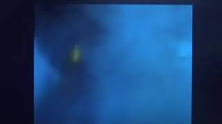 ウルトラマンタロウ対ゴンザウルス二世。