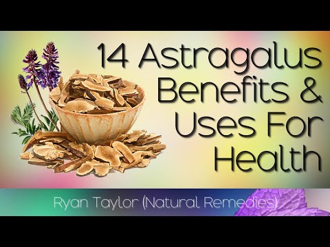 , title : 'Astragalus: Benefits and Uses (Huáng Qí)