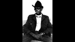 Walters Boogie - Big Walter Horton