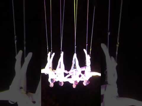 Quien voló más chido ? Califiquen! #reel