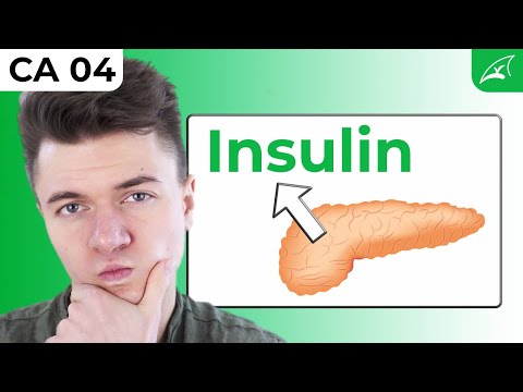 Insulin release & GLUT - simply explained! // How sugar moves from the blood into the cells