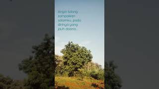 Download lagu Angin tolong sampaikan salamku,pada dirinya yang jauh disana..!! mp3