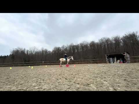 À cheval level confirmé