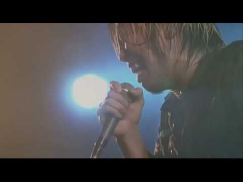 Ao Michi - Stance Punks