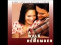 So What Does It All Mean - A Walk To Remember ...