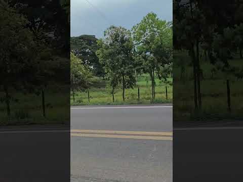 Br101 sentido Itabuna