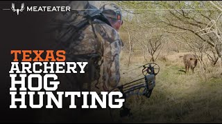Texas Archery Hog