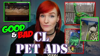 Tiny Tales Nightmare! | Craigslist Pet Ads | Munchie's Place