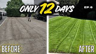 From Bare Dirt to a Thick Lawn… The Results Are Crazy