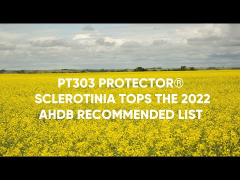 PT303 Protector® Sclerotinia tops the 2022 AHDB UK Recommended List