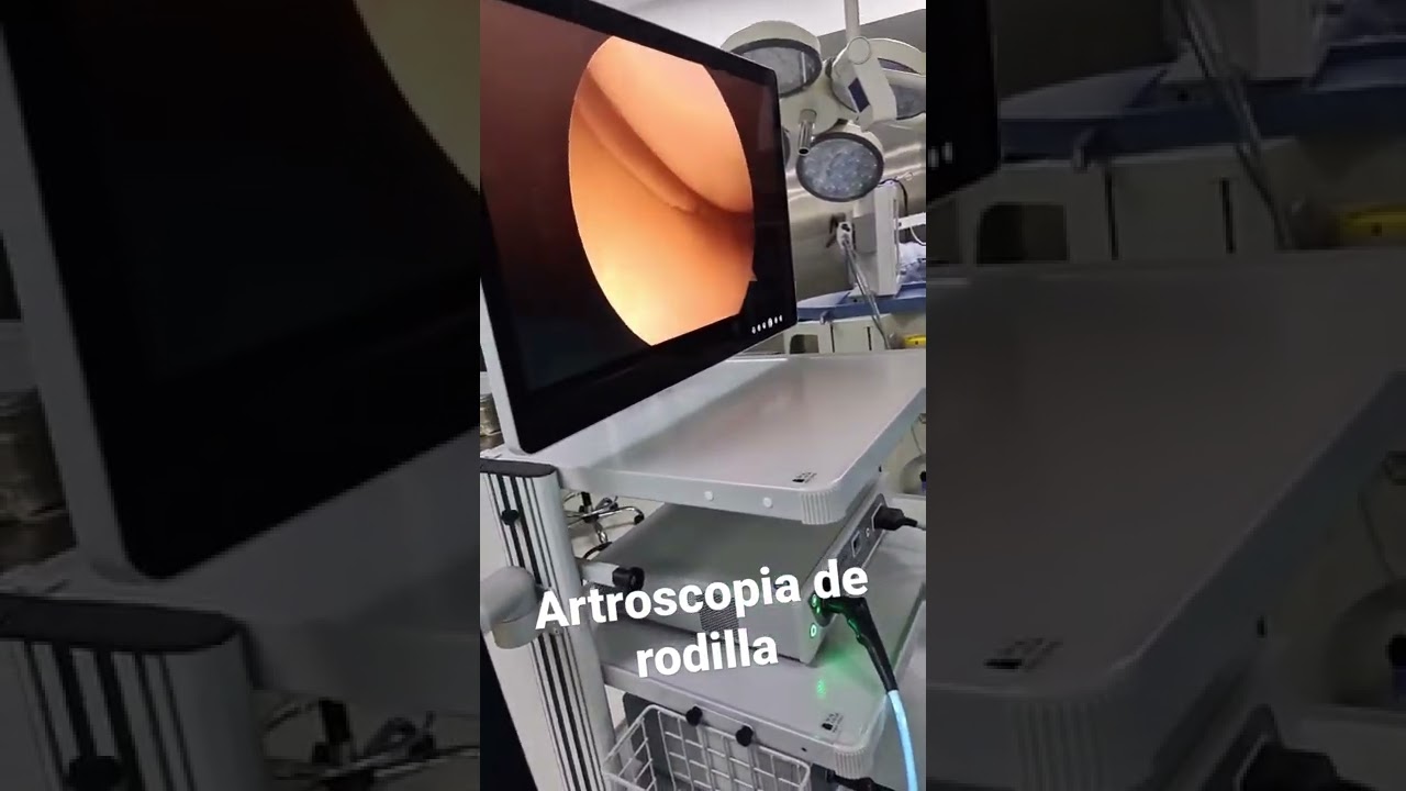 Alejandro Oros Estrada-25