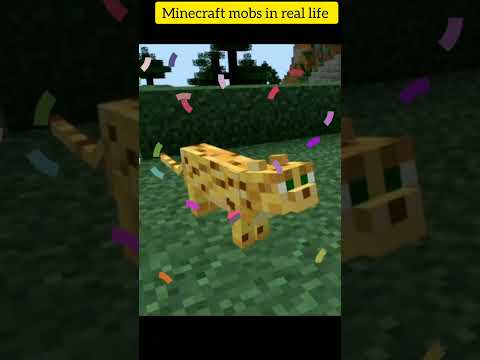 Real Life Minecraft Mobs Revealed!