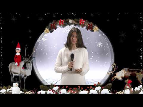 Renii lui Moș Crăciun - ANDREEA BOITA