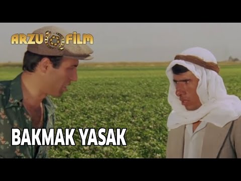 Kibar Feyzo - Bakmak Yasak