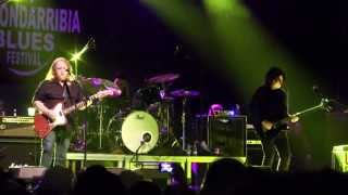 Gov&#39;t Mule - Blind man in the dark (live in Hondarribia Blues Festival 2014)