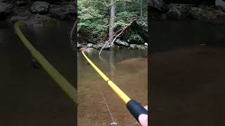 How to Catch Trout on Spinners