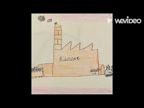 "Cell vs. Virus: A battle for health" a recreation