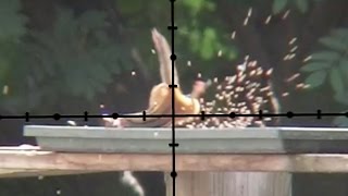 If HEADSHOTS kill INSTANTLY, why all the THRASHING around?!?