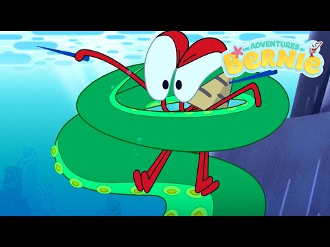 The Adventures of Bernie 👶🦞 Don't Cry Baby (s01e07) 👶🦞 Zig & Sharko - Cartoons for Children