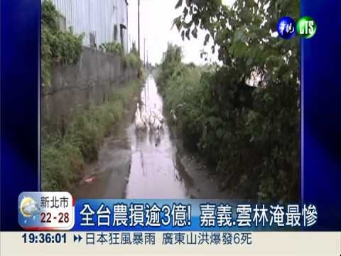 全台農損逾3億 菜價中秋後回穩!