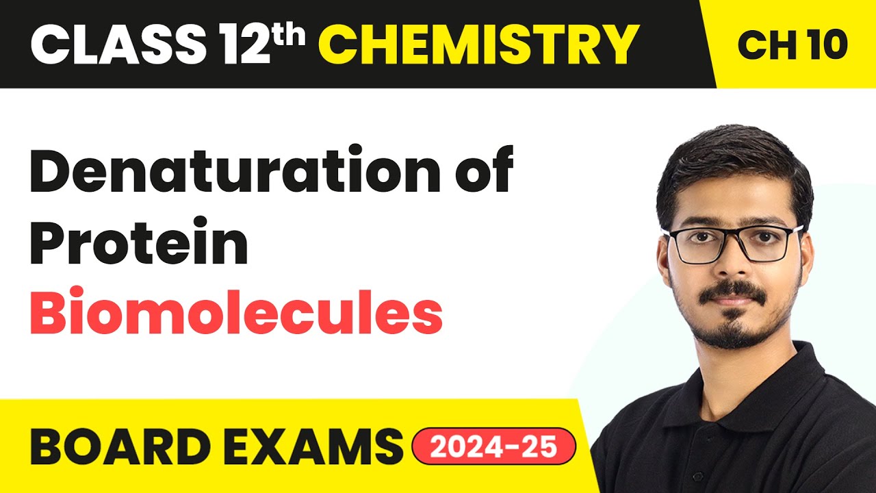 Denaturation of Protein - Biomolecules | Class 12 Chemistry Chapter 10 | CBSE 2024-25