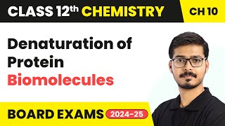 Denaturation of Protein - Biomolecules | Class 12 Chemistry Chapter 10 | CBSE 2024-25