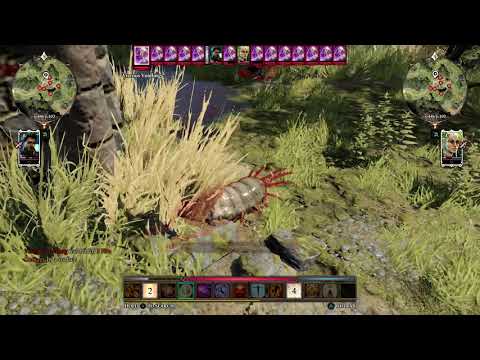 Divinity: Original Sin 2 Def. edit. - Co-op Split Screen walkthrough part 4 // 1080p60 No Commentary