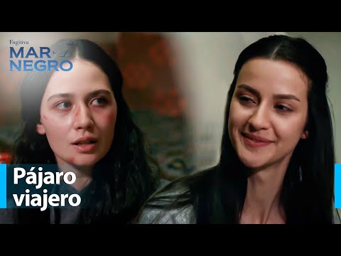 Yiğit Finds a Name for the Nameless Guest - Black Sea Chapter 29 | Fugitive