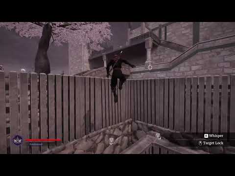 Aragami 2 Speedrun - Level 8 "Sumire's Old Master" - S Rank 0:16