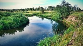 Ловля щуки на реках летом