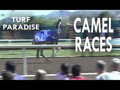 KMLE Country 108 Alternative Races at Turf Paradise