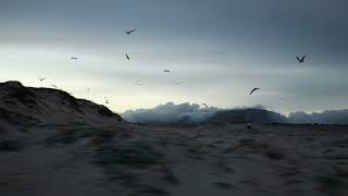 The Bloody Beetroots - The Great Run (feat. Greta Svabo Bech)