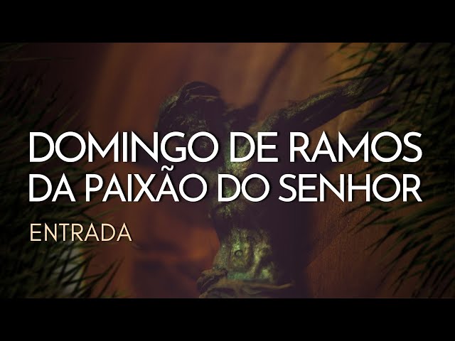 Preview do vídeo