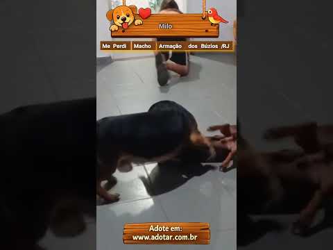 Vídeo de Milo