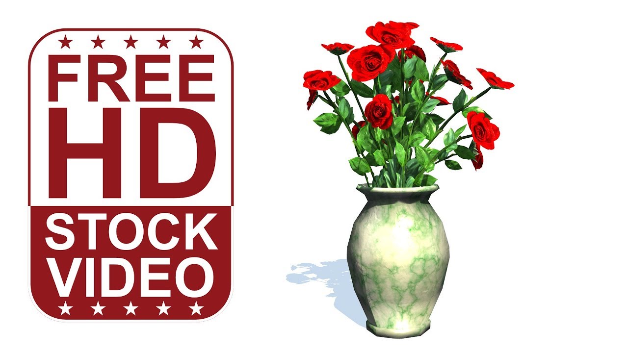 Free Stock Videos - red roses in vase on white background with wind effect 3D animation