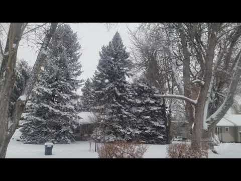 02-25-2020 Rapid City, SD - Surprise Heavy Snow