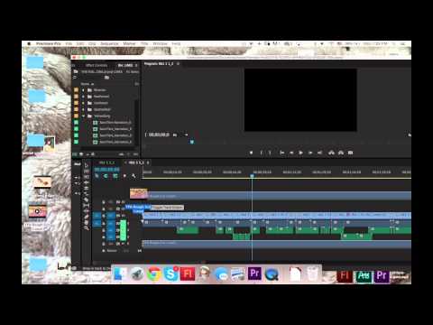 TUTORIAL: Putting scenes together in Premiere