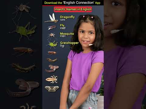 Names of Insects in English | Kids Videos for Kids | Adi Keshari | Adi Connection English #shorts