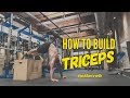 How To Build Triceps | 3 MUST DO BODYWEIGHT EXERCISES