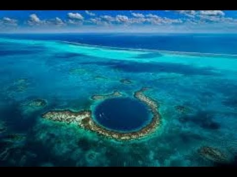 Bahamas xanh thẳm (  - NatGeo Tiếng Việt)