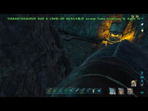 Raiding pearl cave/ CA9/ MEAT RUN