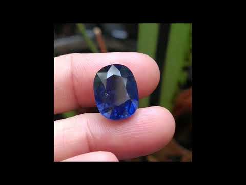 Gem Gardener: 10.55ct Unheated Royal Blue Sapphire Gemstone
