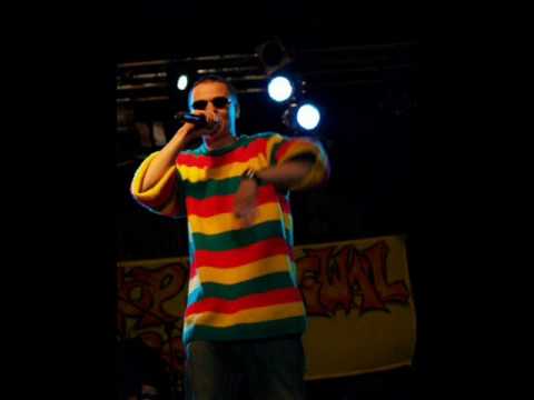 Bośniak- 24h (diss na Flinta)