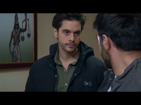 Arka Sokaklar 544.Bölüm-Cemal mahkemede gözlemci oluyor 🧐 #CemalŞahin