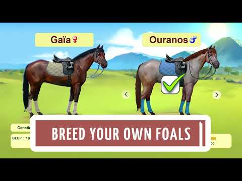 Howrse - Horse Breeding Game video
