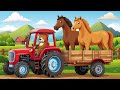 A Day In The Life Of A Horse Herding Farmer