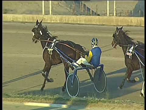 Trotto 19/12/2017 - 2ª corsa